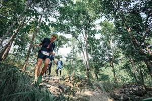 BIB: 
                            <button type="button" onclick="openModal(25984906)" class="btn btn-primary btn-sm float-right btn-popup" data-toggle="modal" data-target=".modal-high-quality">
                        <i class="fas fa-shopping-cart"></i> Add to Cart
                    </button>
                                            <button type="button" onclick="isThisMe(25984906, true)" class="btn btn-success btn-sm float-right btn-popup btn-isme hidden" data-toggle="tooltip" data-placement="bottom" title="นี่คือรูปของคุณใช่ไหม คลิกที่นี่เพื่อเอาเข้าอัลบั้ม">
                        <i class="fas fa-plus"></i> Add to album
                    </button>
                    <button type="button" onclick="isThisMe(25984906, false)" class="btn btn-warning btn-sm float-right btn-popup btn-isnotme hidden">
                        <i class="fas fa-ban"></i> Remove from album
                    </button>